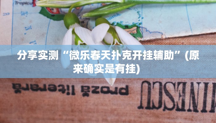 分享实测“微乐春天扑克开挂辅助”(原来确实是有挂) 