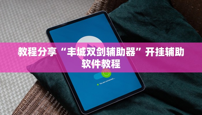 教程分享“丰城双剑辅助器”开挂辅助软件教程 教程分享“丰城双剑辅助器”开挂辅助软件教程