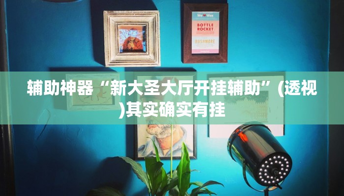 教程辅助“皇豪互娱辅助器下载”(透视)其实确实有挂