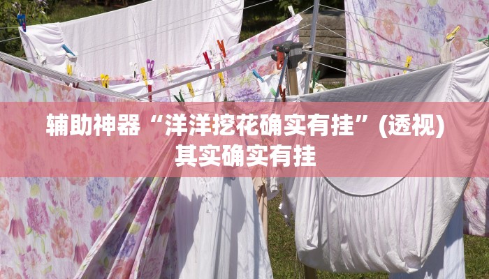 辅助神器“洋洋挖花确实有挂”(透视)其实确实有挂