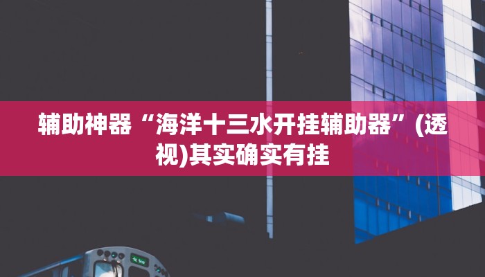 辅助神器“海洋十三水开挂辅助器”(透视)其实确实有挂