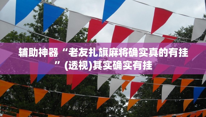辅助神器“老友扎旗麻将确实真的有挂”(透视)其实确实有挂 辅助神器“老友扎旗麻将确实真的有挂”(透视)其实确实有挂