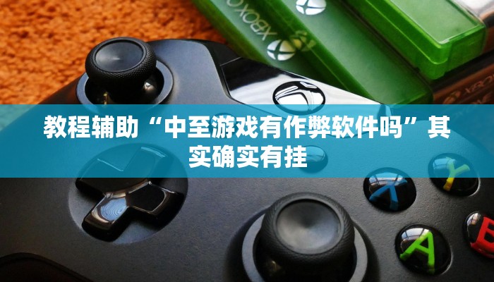 教程辅助“中至游戏有作弊软件吗”其实确实有挂 教程辅助“中至游戏有作弊软件吗”其实确实有挂
