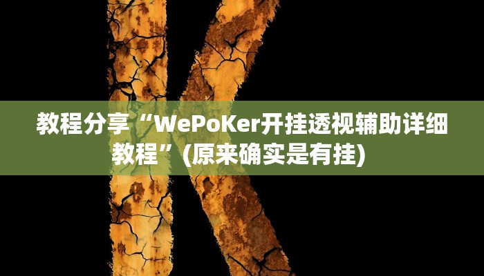 教程分享“WePoKer开挂透视辅助详细教程”(原来确实是有挂) 