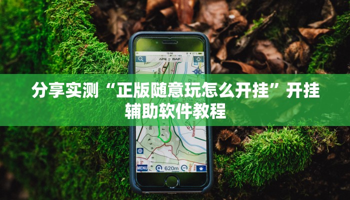 分享实测“正版随意玩怎么开挂”开挂辅助软件教程 分享实测“正版随意玩怎么开挂”开挂辅助软件教程