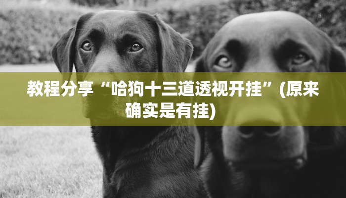 教程分享“哈狗十三道透视开挂”(原来确实是有挂) 