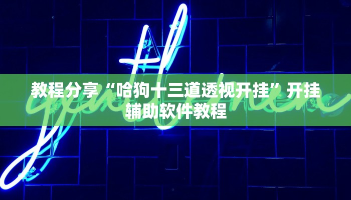 教程分享“哈狗十三道透视开挂”开挂辅助软件教程