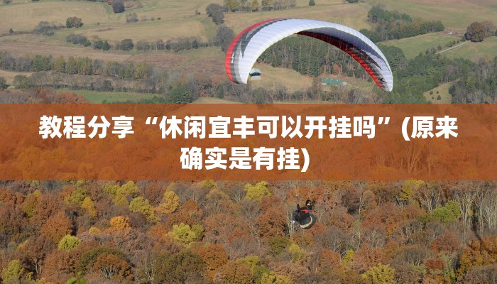 教程分享“休闲宜丰可以开挂吗”(原来确实是有挂) 教程分享“休闲宜丰可以开挂吗”(原来确实是有挂)