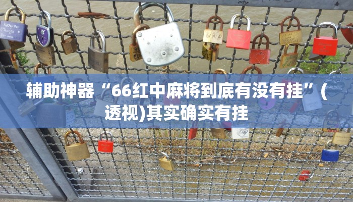 辅助神器“66红中麻将到底有没有挂”(透视)其实确实有挂