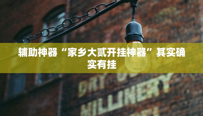 辅助神器“家乡大贰开挂神器”其实确实有挂