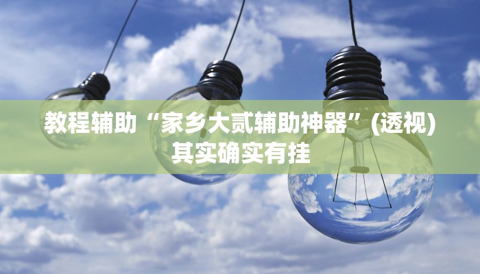 教程辅助“家乡大贰辅助神器”(透视)其实确实有挂