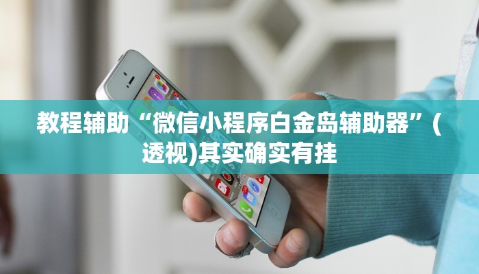 教程辅助“微信小程序白金岛辅助器”(透视)其实确实有挂