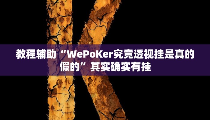 教程辅助“WePoKer究竟透视挂是真的假的”其实确实有挂