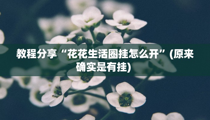 教程分享“花花生活圈挂怎么开”(原来确实是有挂) 