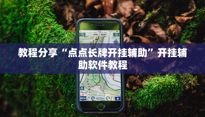 教程分享“点点长牌开挂辅助”开挂辅助软件教程