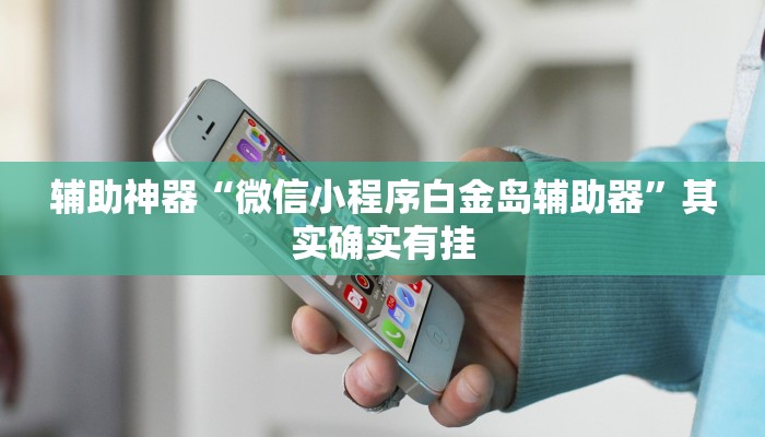 辅助神器“微信小程序白金岛辅助器”其实确实有挂