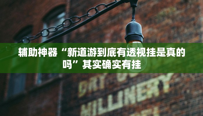 辅助神器“新道游到底有透视挂是真的吗”其实确实有挂 辅助神器“新道游到底有透视挂是真的吗”其实确实有挂