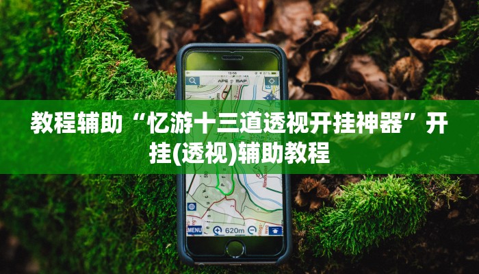 教程辅助“忆游十三道透视开挂神器”开挂(透视)辅助教程