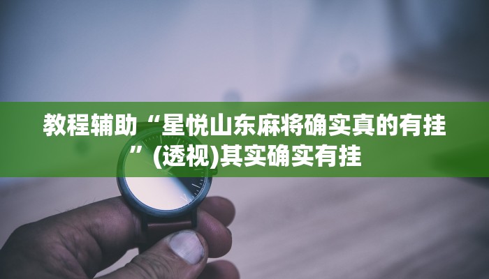 教程辅助“星悦山东麻将确实真的有挂”(透视)其实确实有挂