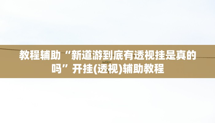 教程辅助“新道游到底有透视挂是真的吗”开挂(透视)辅助教程