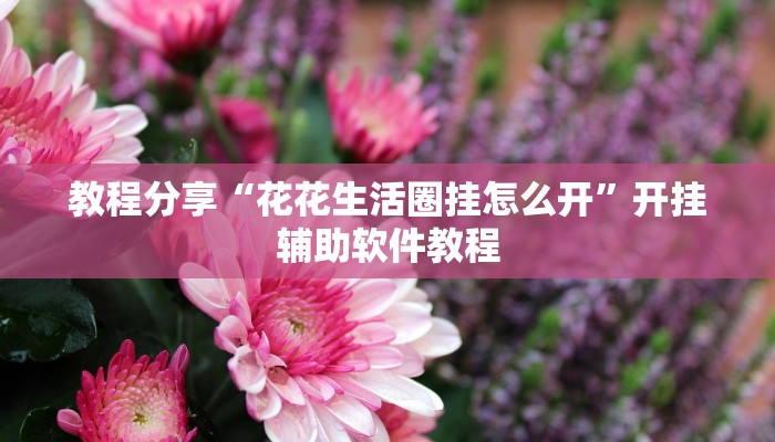 教程分享“花花生活圈挂怎么开”开挂辅助软件教程