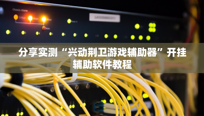 分享实测“兴动荆卫游戏辅助器”开挂辅助软件教程