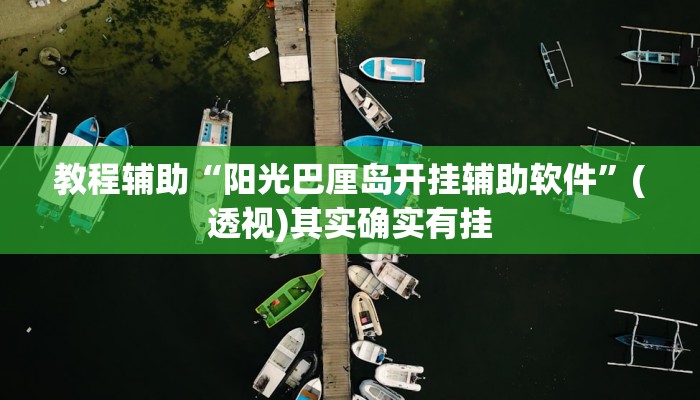 教程辅助“阳光巴厘岛开挂辅助软件”(透视)其实确实有挂