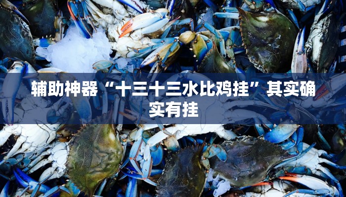 辅助神器“十三十三水比鸡挂”其实确实有挂