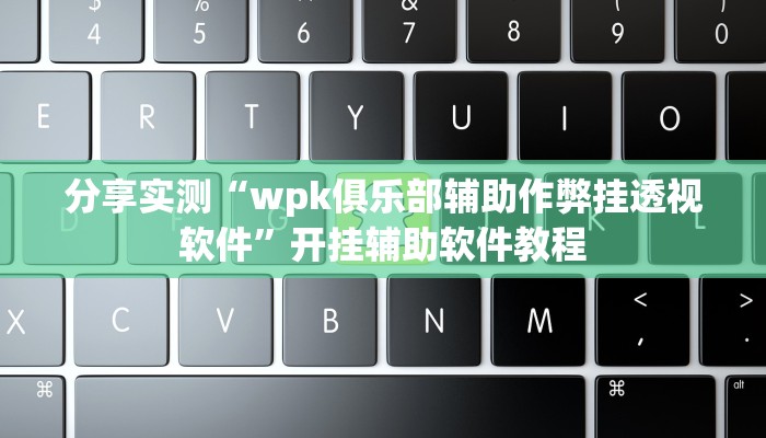 分享实测“wpk俱乐部辅助作弊挂透视软件”开挂辅助软件教程