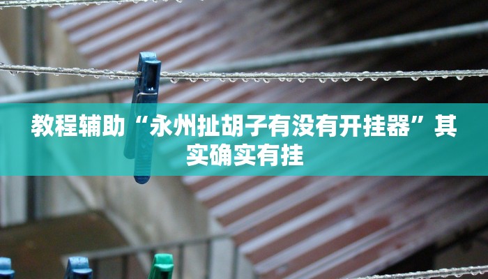 教程辅助“永州扯胡子有没有开挂器”其实确实有挂