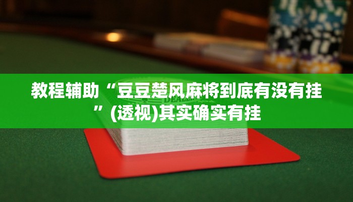 教程辅助“豆豆楚风麻将到底有没有挂”(透视)其实确实有挂