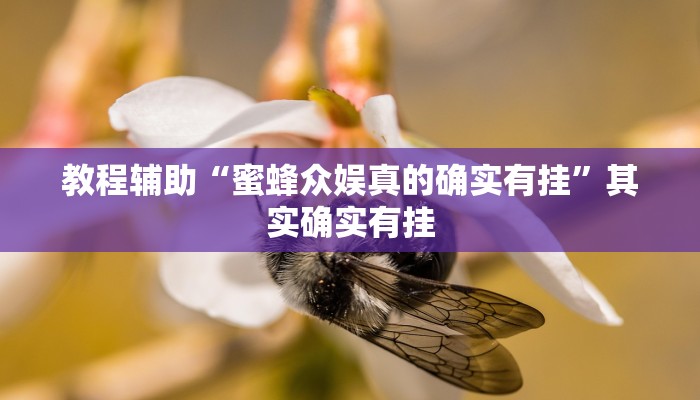 教程辅助“蜜蜂众娱真的确实有挂”其实确实有挂