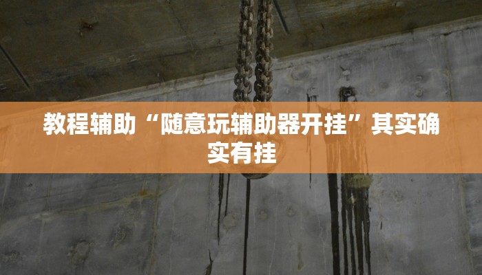 教程辅助“随意玩辅助器开挂”其实确实有挂