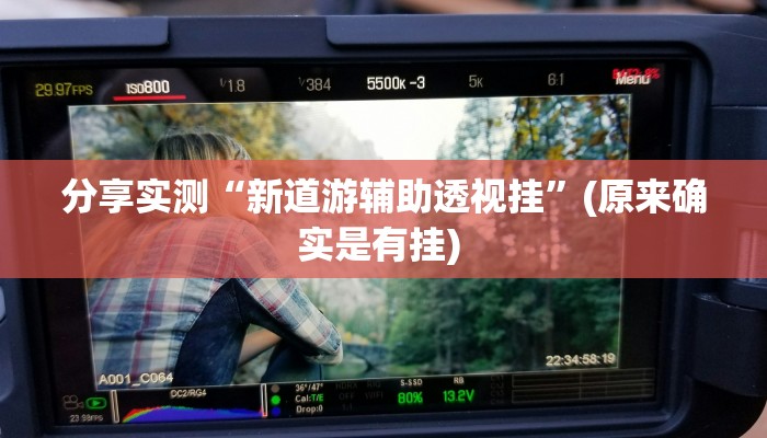 分享实测“新道游辅助透视挂”(原来确实是有挂) 