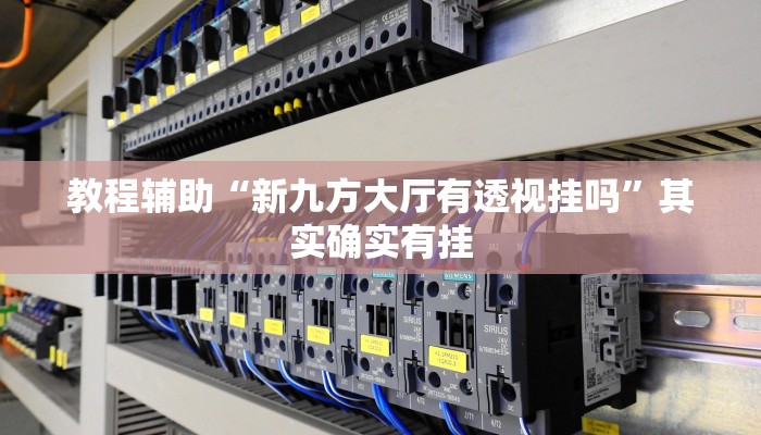 教程辅助“新九方大厅有透视挂吗”其实确实有挂