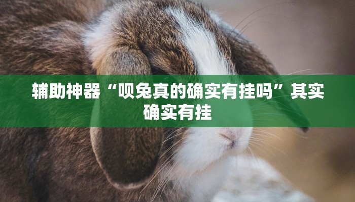 辅助神器“呗兔真的确实有挂吗”其实确实有挂