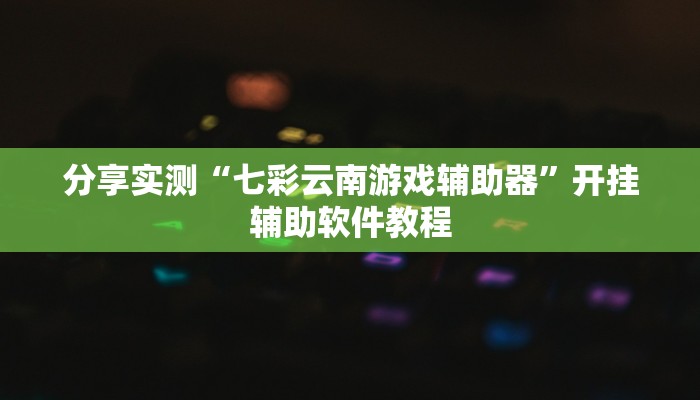 分享实测“七彩云南游戏辅助器”开挂辅助软件教程