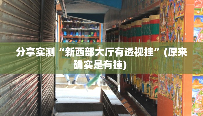 分享实测“新西部大厅有透视挂”(原来确实是有挂) 