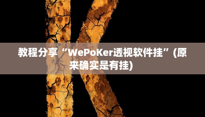 教程分享“WePoKer透视软件挂”(原来确实是有挂) 
