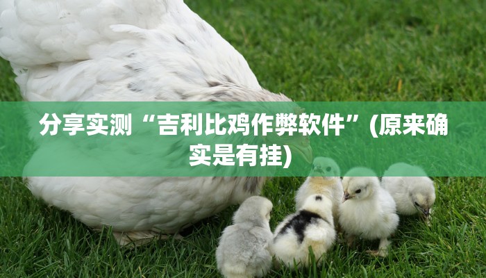 分享实测“吉利比鸡作弊软件”(原来确实是有挂) 