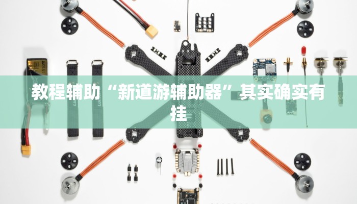 教程辅助“新道游辅助器”其实确实有挂