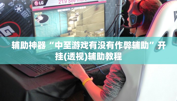 辅助神器“中至游戏有没有作弊辅助”开挂(透视)辅助教程