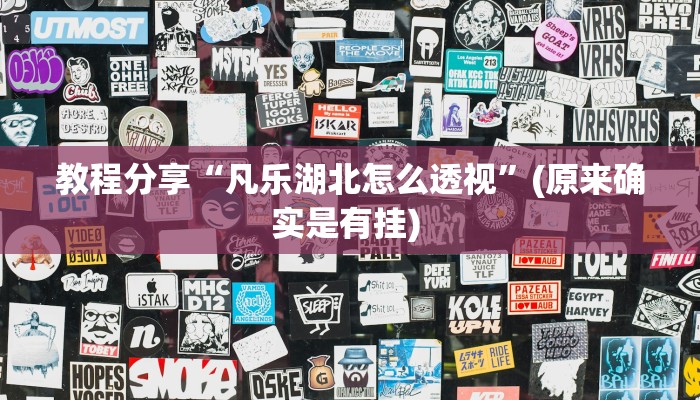 教程分享“凡乐湖北怎么透视”(原来确实是有挂) 