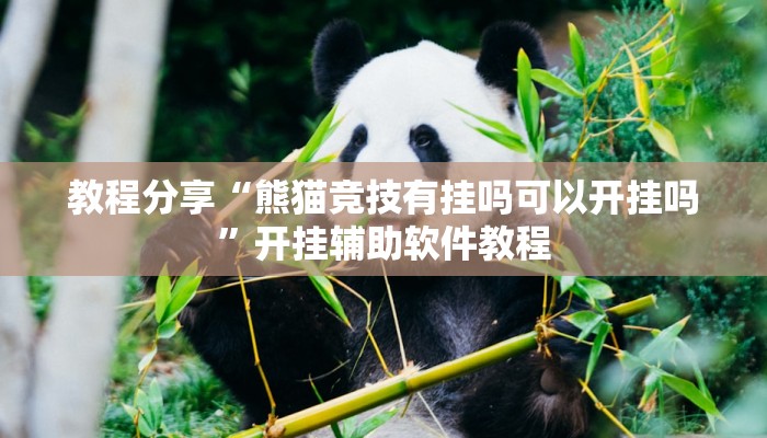 教程分享“熊猫竞技有挂吗可以开挂吗”开挂辅助软件教程