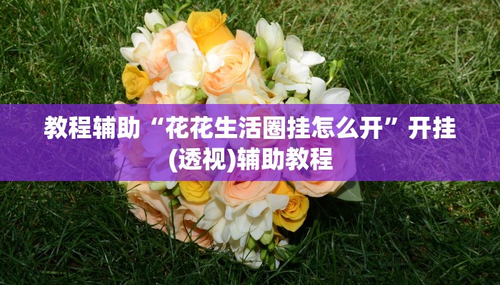 教程辅助“花花生活圈挂怎么开”开挂(透视)辅助教程