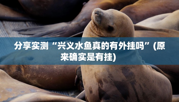 分享实测“兴义水鱼真的有外挂吗”(原来确实是有挂) 