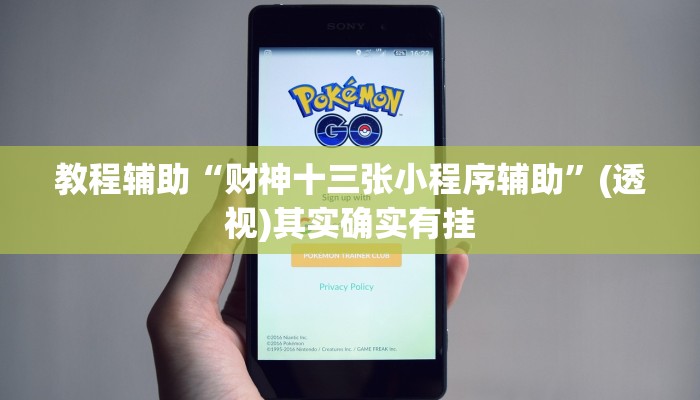 教程辅助“财神十三张小程序辅助”(透视)其实确实有挂