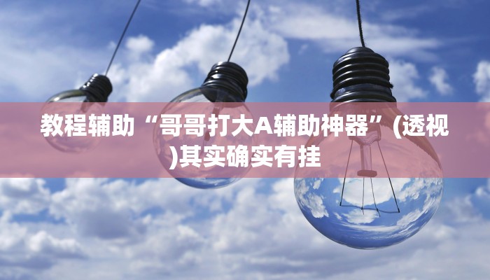 教程辅助“哥哥打大A辅助神器”(透视)其实确实有挂
