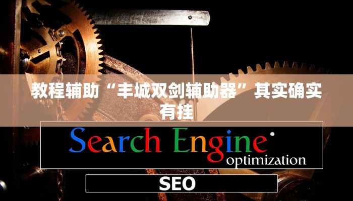 教程辅助“丰城双剑辅助器”其实确实有挂