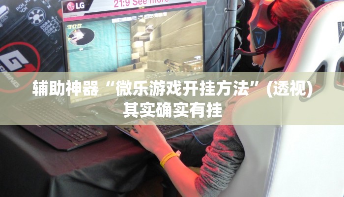 辅助神器“微乐游戏开挂方法”(透视)其实确实有挂